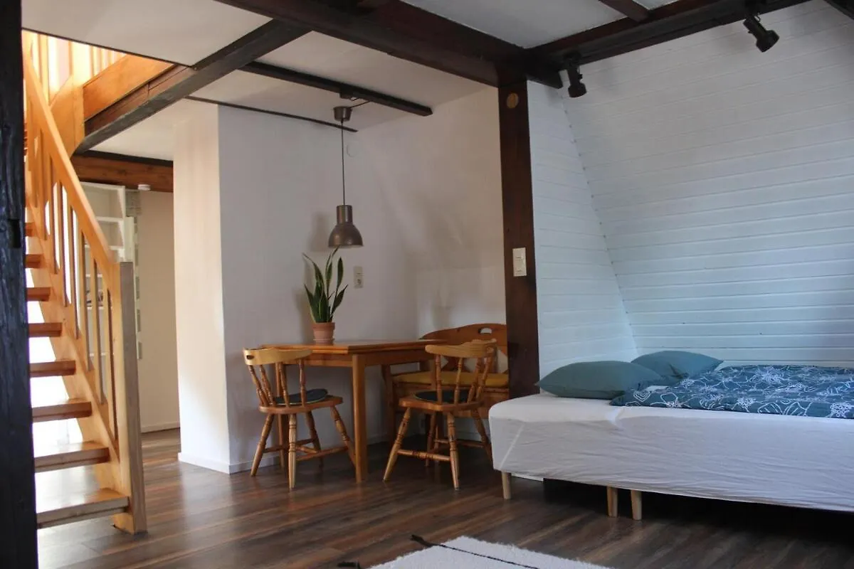Beautiful Loft Near City And Danube Новый-Ульм Апартаменты